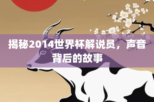 揭秘2014世界杯解说员，声音背后的故事