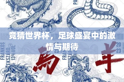 竞猜世界杯，足球盛宴中的激情与期待