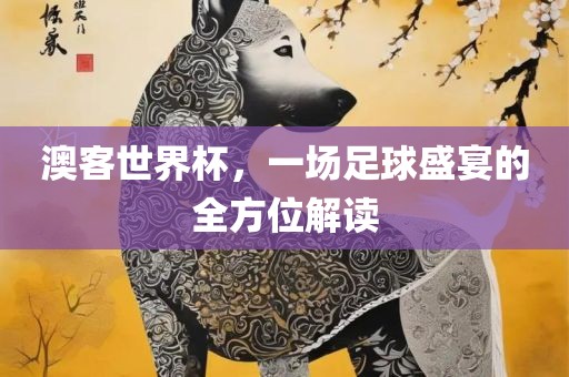 澳客世界杯，一场足球盛宴的全方位解读