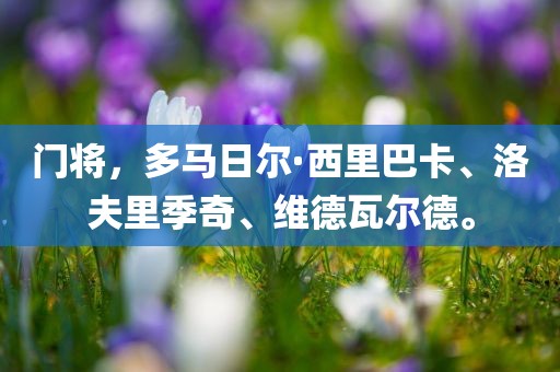 门将，多马日尔·西里巴卡、洛夫里季奇、维德瓦尔德。