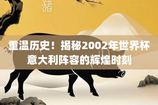 重温历史！揭秘2002年世界杯意大利阵容的辉煌时刻