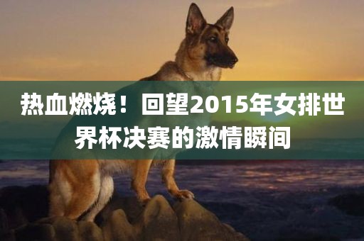 热血燃烧！回望2015年女排世界杯决赛的激情瞬间