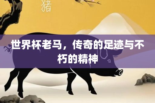 世界杯老马，传奇的足迹与不朽的精神