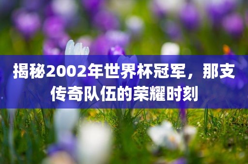 揭秘2002年世界杯冠军，那支传奇队伍的荣耀时刻