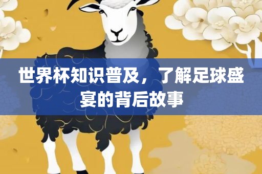 世界杯知识普及，了解足球盛宴的背后故事眉山市正发家政服务有限公司