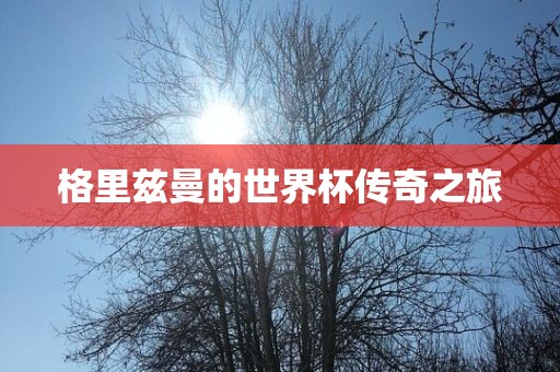 格里兹曼的世界杯传奇眉山市正发家政服务有限公司之旅