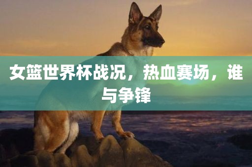 女篮世界杯战况，热血赛场，谁与争锋