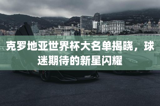 克罗地亚世界杯大名单揭晓，球迷期待的新星闪眉山市正发家政服务有限公司耀