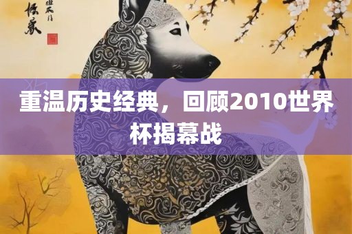 重温历史经典，回顾2010世界杯揭幕战