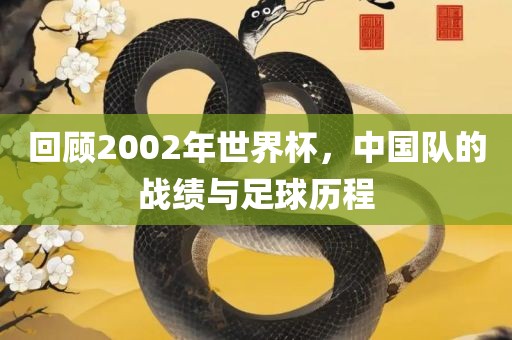 回顾2002年世界杯，中国队的战绩与足球历程