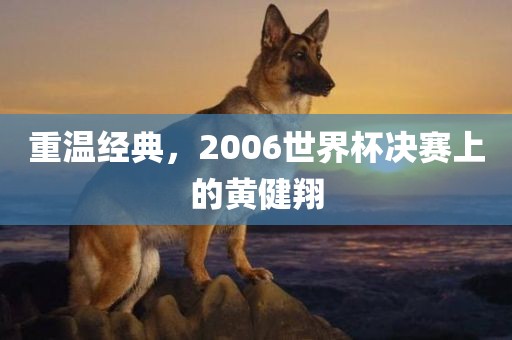 重温经典，2006世界杯决赛上的黄健翔