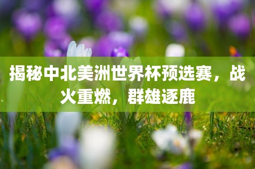 揭秘中北美洲世界杯预选赛，战火重燃，群雄逐鹿