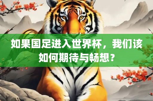 如果国足进入世界杯，我们该如何期待与畅想？