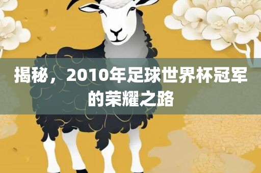 揭秘，2010年足球世界杯冠军的荣耀之路