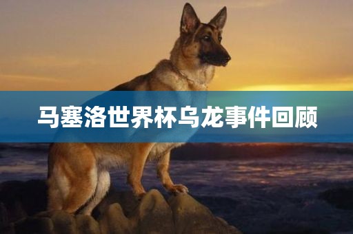 马塞洛世界杯眉山市正发家政服务有限公司乌龙事件回顾