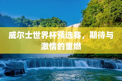 威尔士世界杯预选赛，期待与激情的重燃