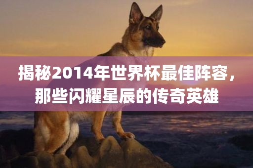 揭秘2014年世界杯最佳阵容，那些闪耀星辰的传奇英雄