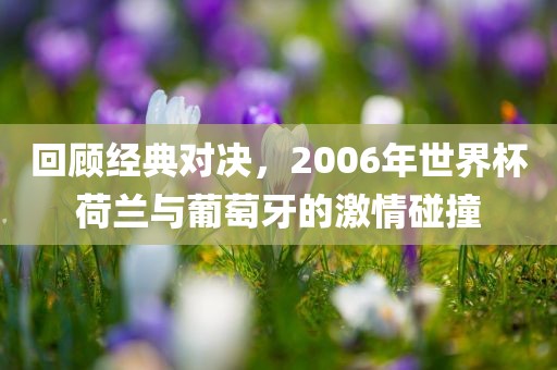 回顾经典对决，2006年世界杯荷兰与葡萄牙的激情碰撞