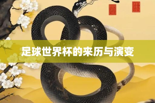 足球世界杯的来历与演变