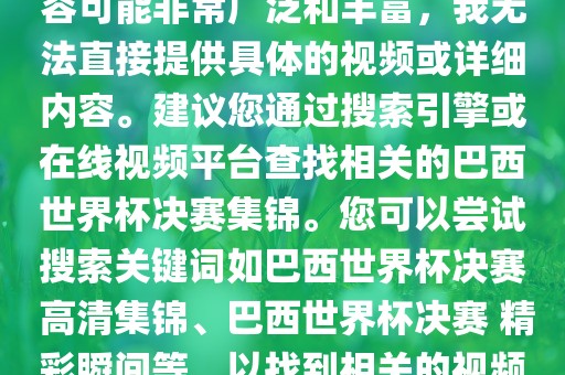 由于巴西世界杯决赛集锦的内容可能非常广泛和丰富，我无法直接提供具体的视频或详细内容。建议您通过搜索引擎或在线视频平台查找相关的巴西世界杯决赛集锦。您可以尝试搜索关键词如巴西世界杯决赛 高清集锦、巴西世界杯决赛 精彩瞬间等，以找到相关的视频和报道。