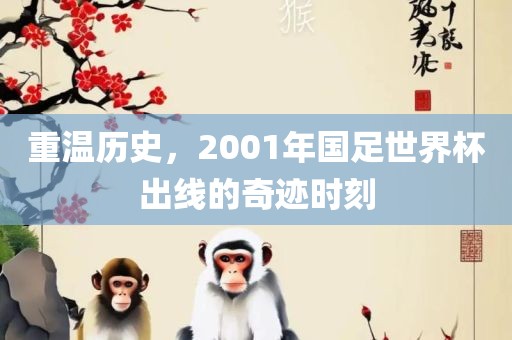 重温历史，2001年国足世界杯出线的奇迹时刻