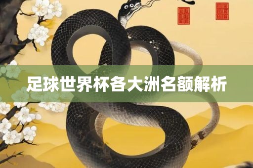 足球世界杯各大洲名额解析