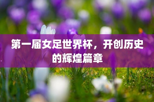 第一届女足世界杯，开创历史的辉煌篇章
