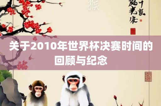 关于2010年世界杯决赛时间的回顾与纪念