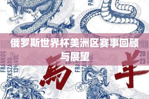 俄罗斯世界杯美洲区赛事回顾与展望