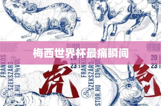 梅西世界杯最痛瞬间