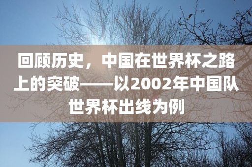 回顾历史，中国在世界杯之路上的突破——以2002年中国队世界杯出线为例
