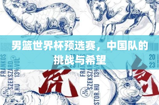 男篮世界杯预选赛，中国队的挑战与希望
