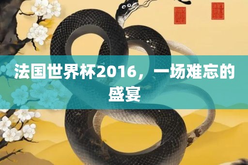 法国世界杯2016，一场难忘的盛宴