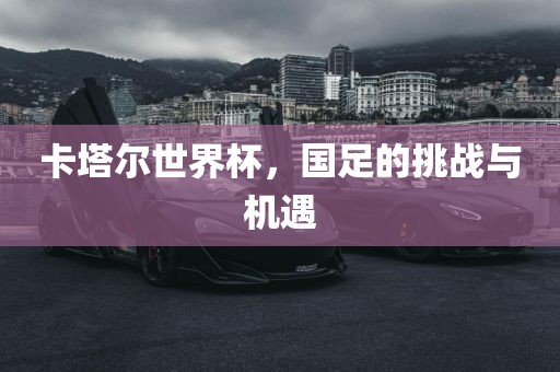 卡塔尔世界杯，国足的挑战与机遇