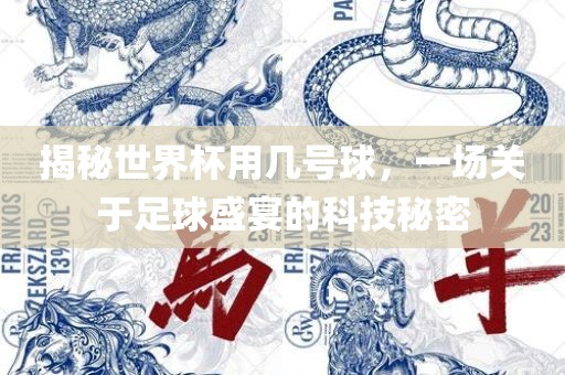 揭秘世界杯用几号球，一场关于足球盛宴的科技秘密