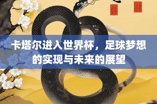 卡塔尔进入世界杯，足球梦想的实现与未来的展望
