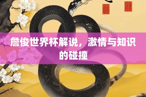 詹俊世界杯解说，激情与知识的碰撞