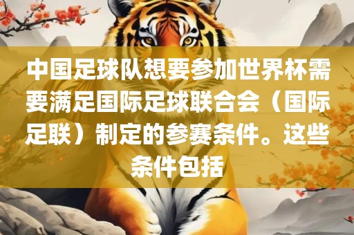 中国足球队想要参加世界杯需要满足国际足球联合会（国际足联）制定的参赛条件。这些条件包括