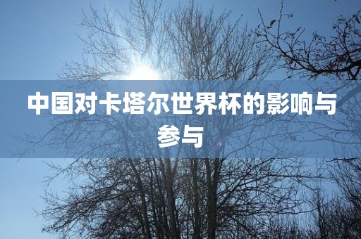 中国对卡塔尔世界杯的影响与参与