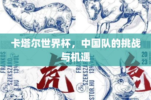 卡塔尔世界杯，中国队的挑战与机遇