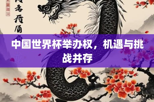 中国世界杯举办权，机遇与挑战并存