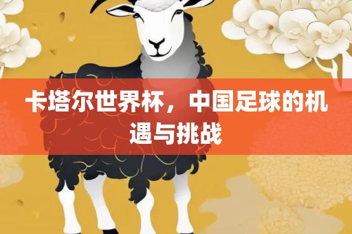 卡塔尔世界杯，中国足球的机遇与挑战
