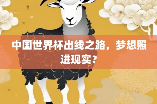 中国世界杯出线之路，梦想照进现实？