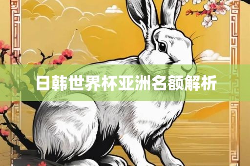 日韩世界杯亚洲名额解析
