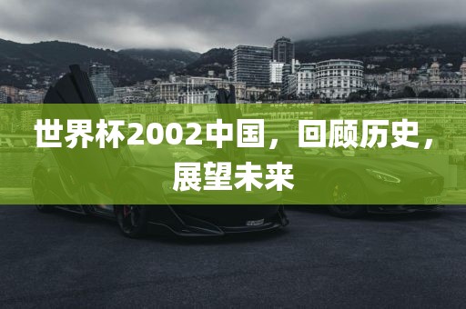 世界杯2002中国，回顾历史，展望未来
