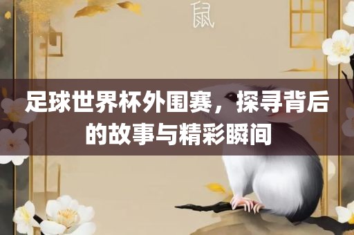 足球世界杯外围赛，探寻背后的故事与精彩瞬间