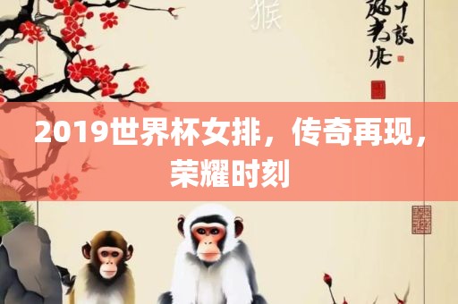 2019世界杯女排，传奇再现，荣耀时刻