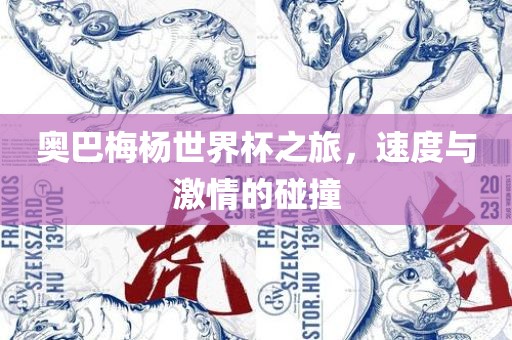 奥巴梅杨世界杯之旅，速度与激情的碰撞