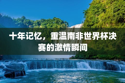 十年记忆，重温南非世界杯决赛的激情瞬间