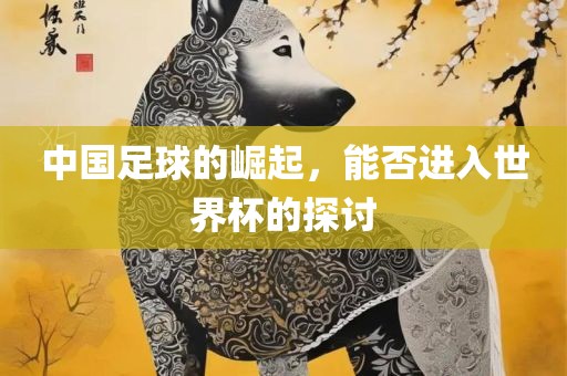 中国足球的崛起，能否进入世界杯的探讨